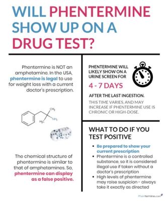 Can Phentermine Show Up on a Drug Test: Exploring the Unpredictable Dance of Molecules