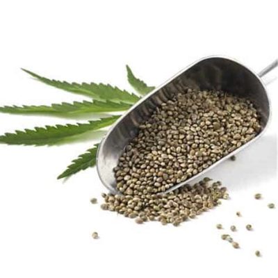 Will Hemp Seeds Show Up on a Drug Test, and Can They Influence Your Morning Coffee Ritual?